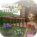 Flower Fields